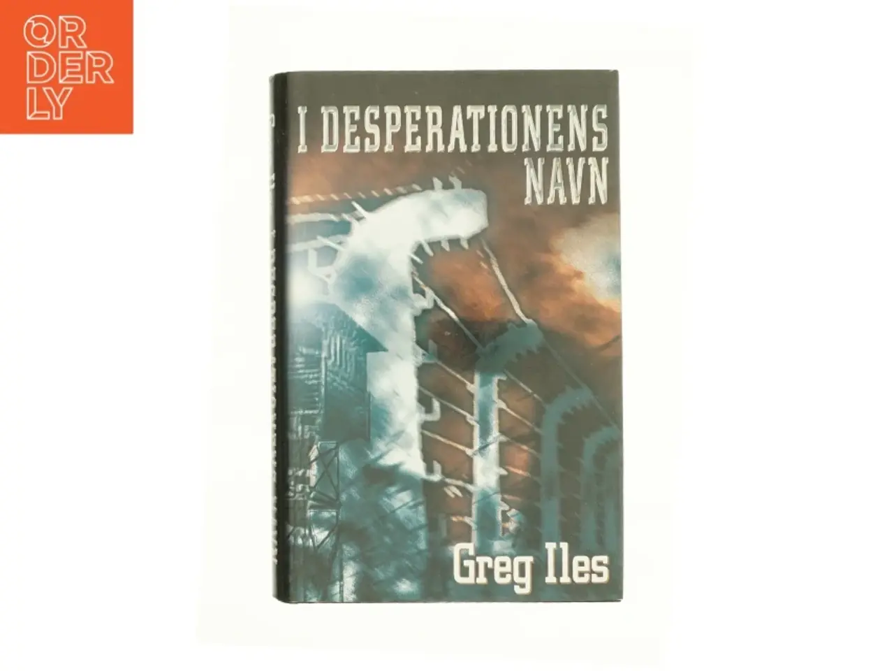 Billede 1 - I Desperationens navn af Greg Iles (bog)