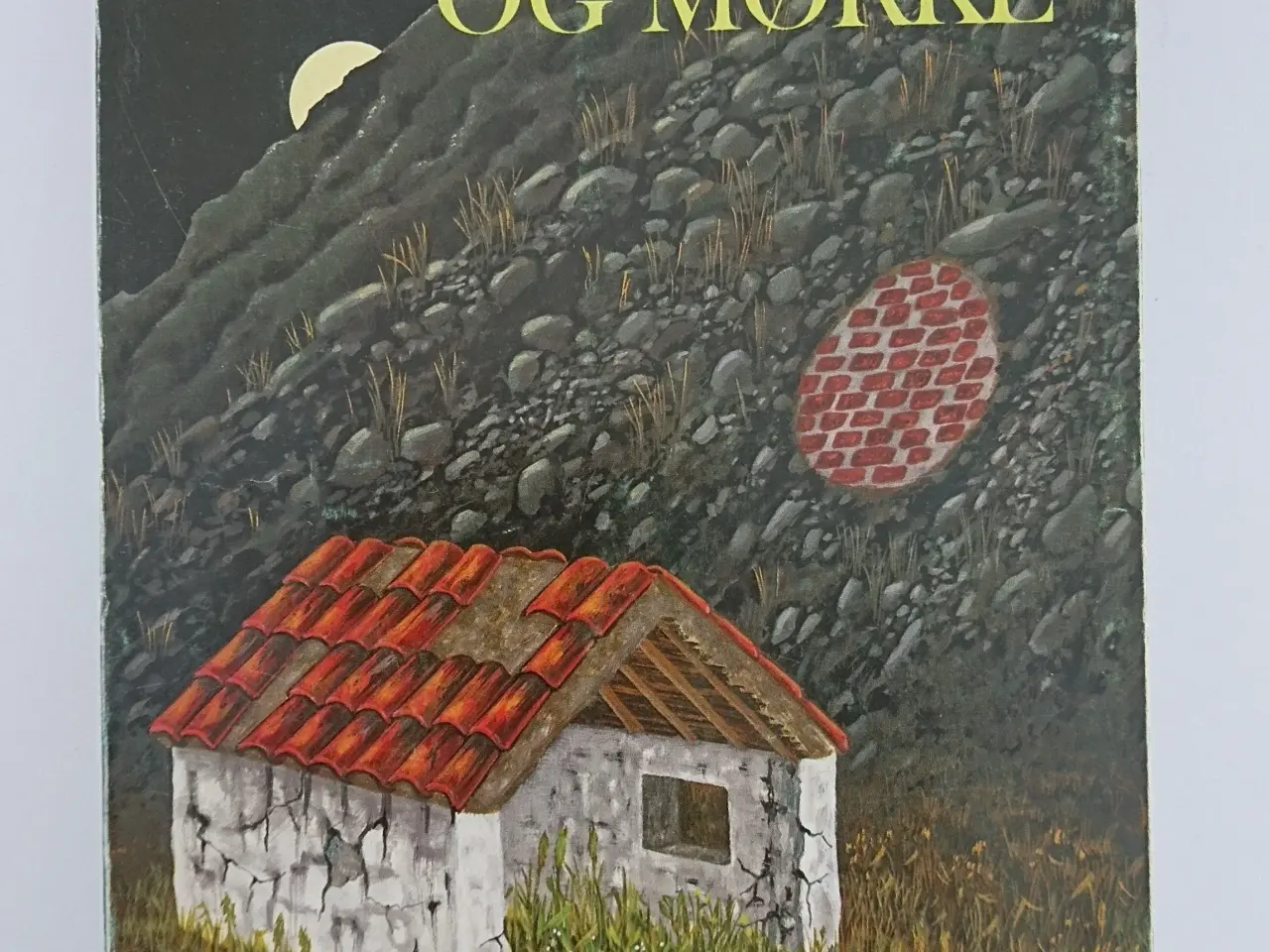 Billede 1 - Kærlighed og mørke. Af Isabel Allende