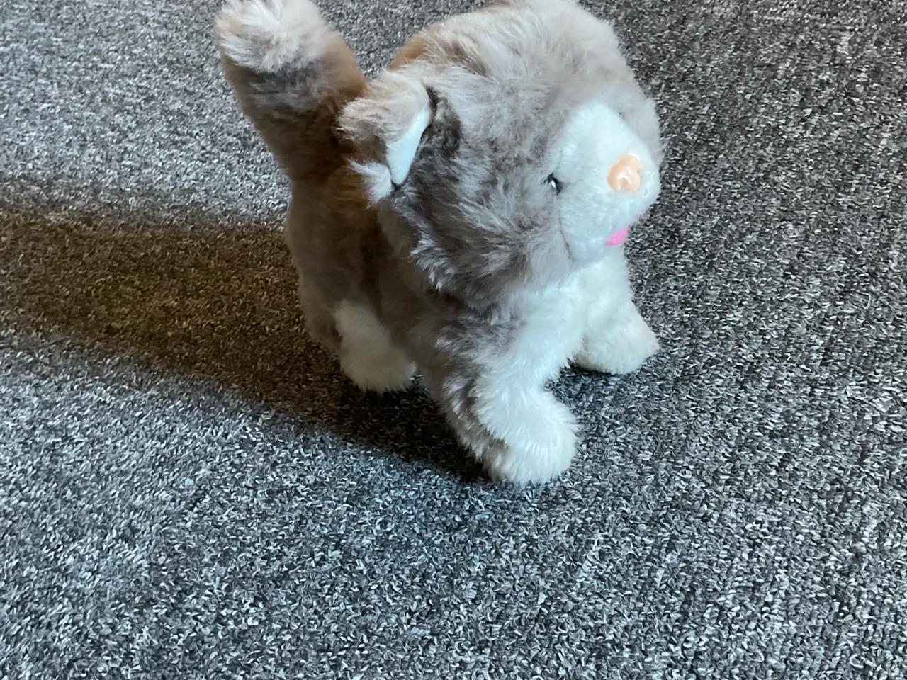 Billede 2 - Gående hund der logrer med halen.