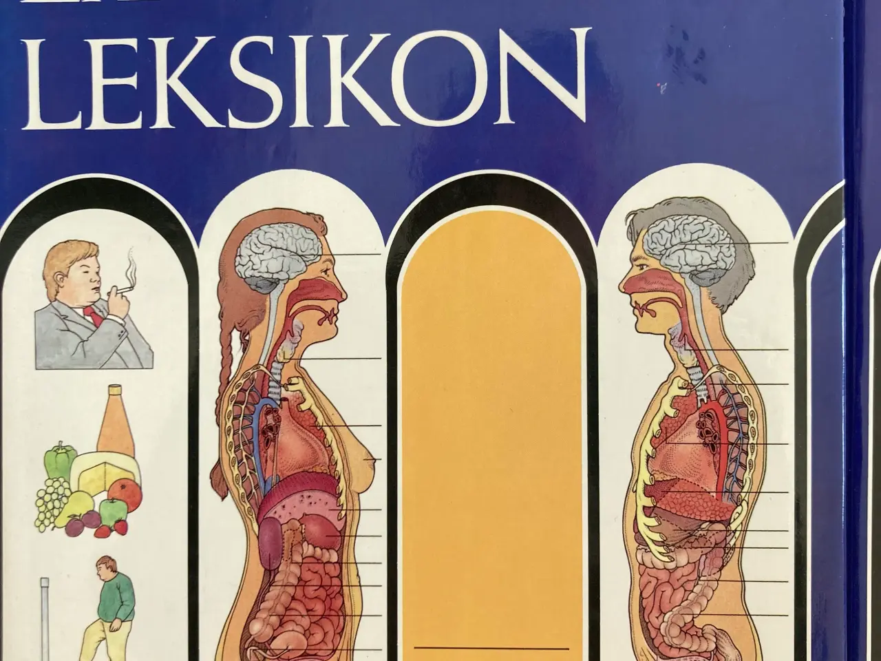 Billede 4 - Lademanns lægeleksikon bind 1-21 + 5 emnebind