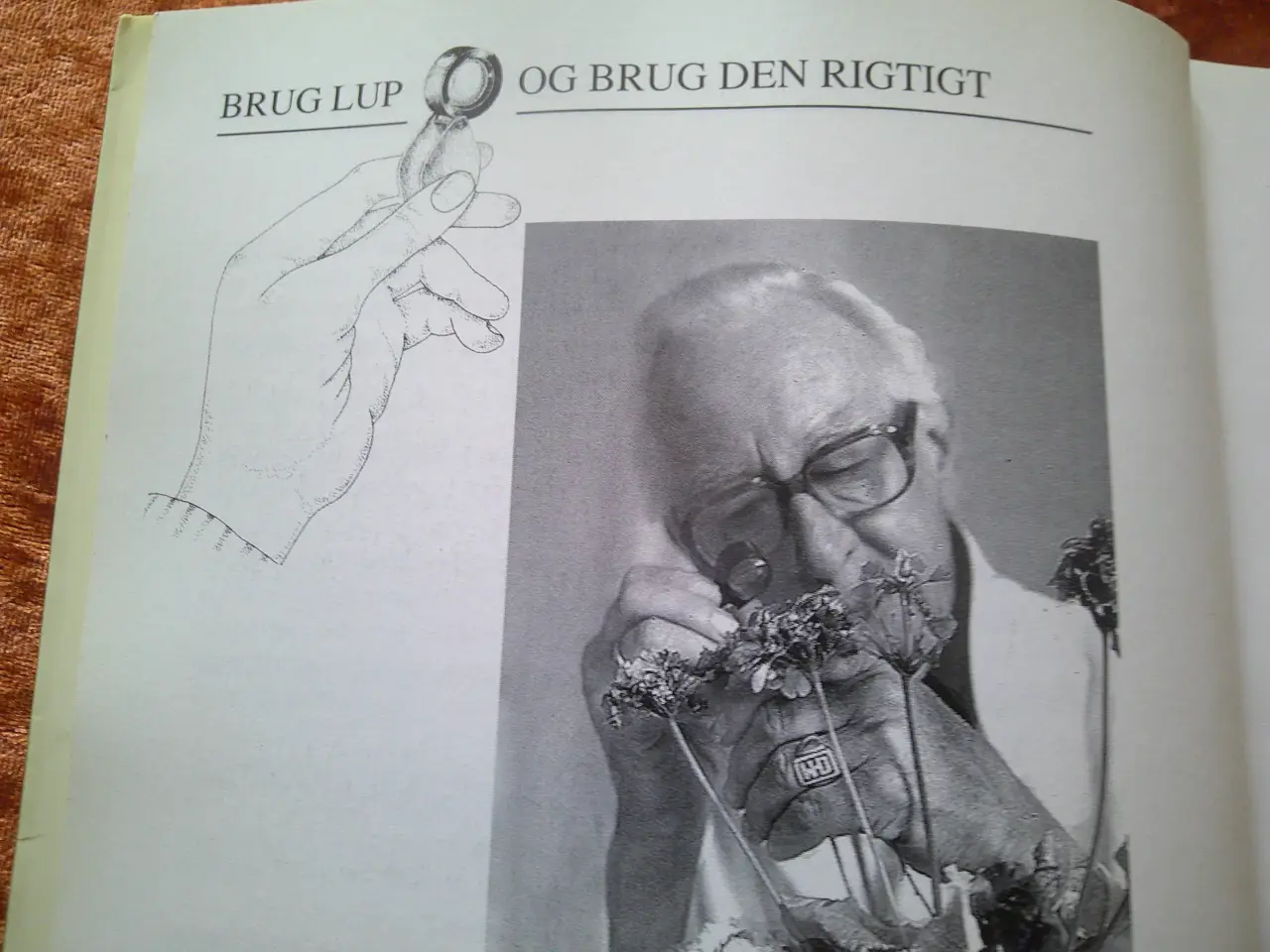 Billede 2 - Den grønne bog, Frank Hejndorf