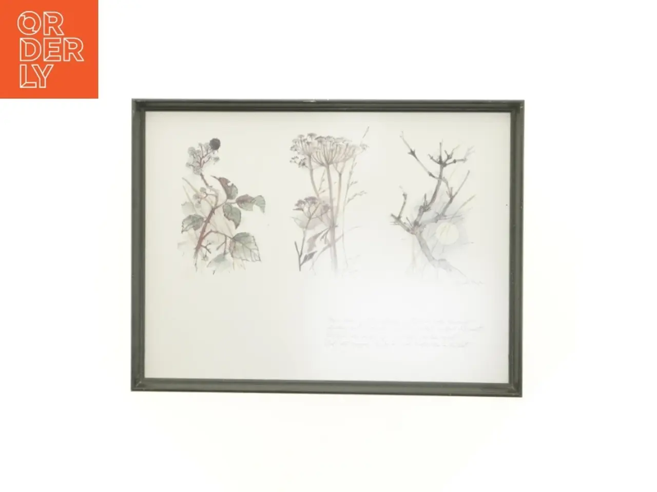 Billede 1 - Indrammet kunsttryk (str. 40 x 30,5 cm)