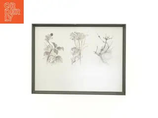 Indrammet kunsttryk (str. 40 x 30,5 cm)