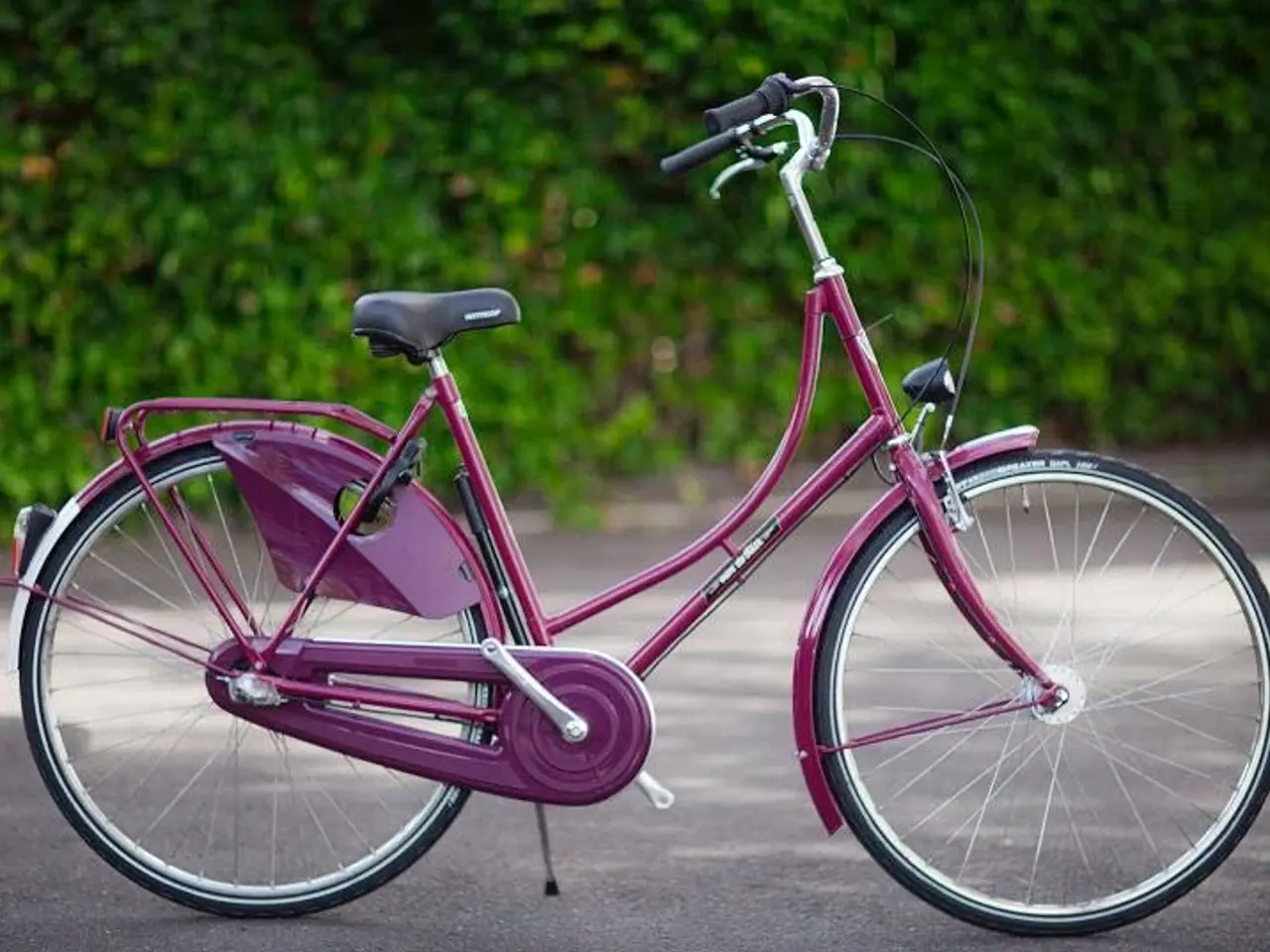 Billede 6 - Super flot Van de Falk cykler til salg
