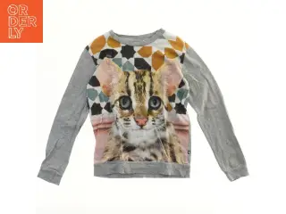 Molo sweatshirt med katteprint (str. 140)