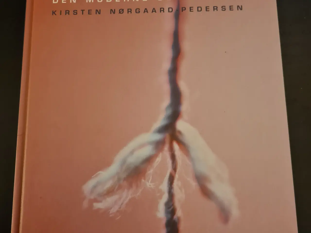 Billede 1 - Stress - den moderne udfordring