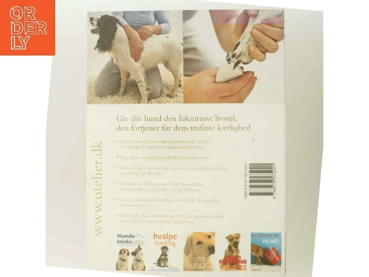 Billede 3 - Forkæl din hund af Sarah Whitehead (Bog)