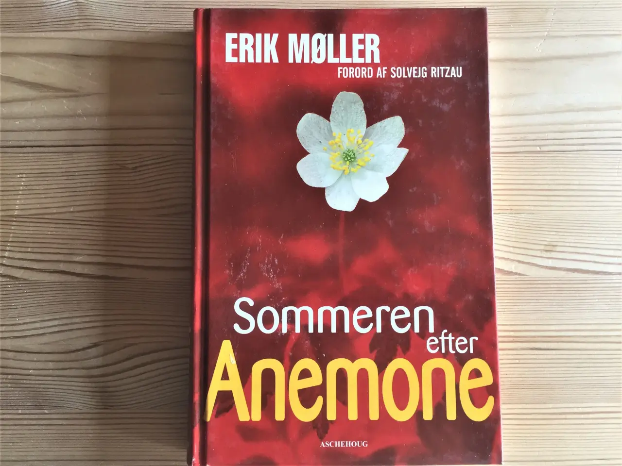 Billede 1 - Sommeren efter Anemone