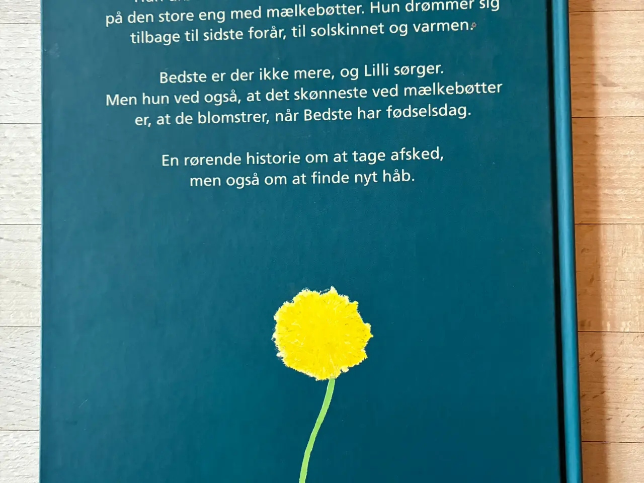 Billede 2 - Da Bedste ikke var der mere, Lucy Scharenberg