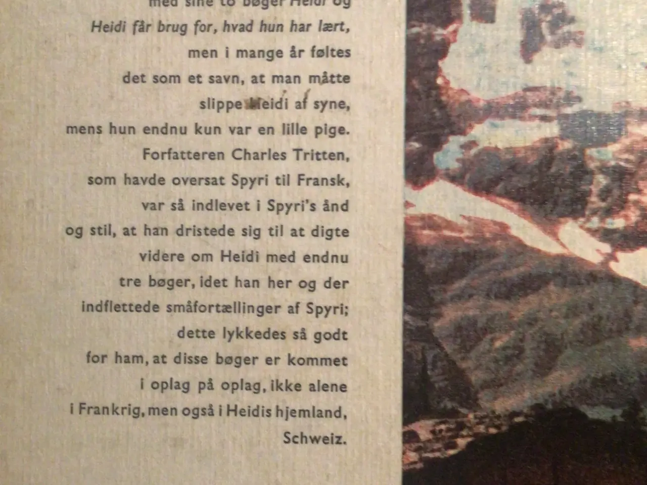 Billede 2 - Heidi og hendes børn