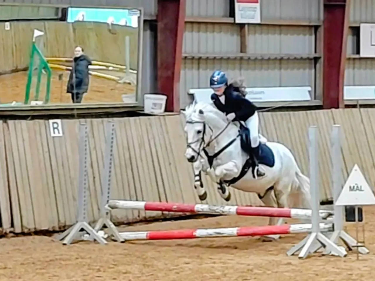 Billede 9 - Allround pony, en ny bedste ven