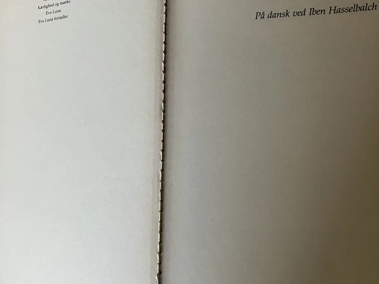 Billede 7 - Den Uendelige Plan. Af Isabel Allende