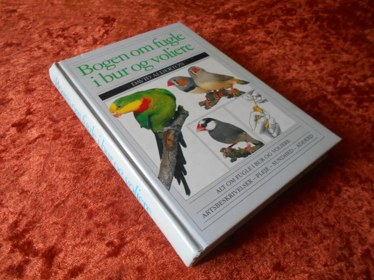 Billede 1 - Bogen om fugle i bur og voliere, David Alderton