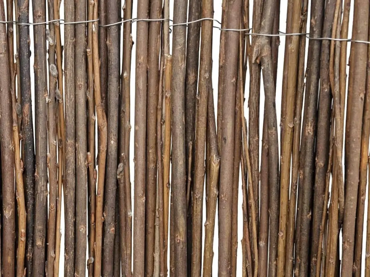 Billede 4 - Pilehegn på rulle 5 × 1 m - naturligt hegn til haven