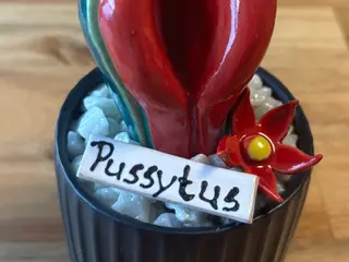 Pussytusser i keramik