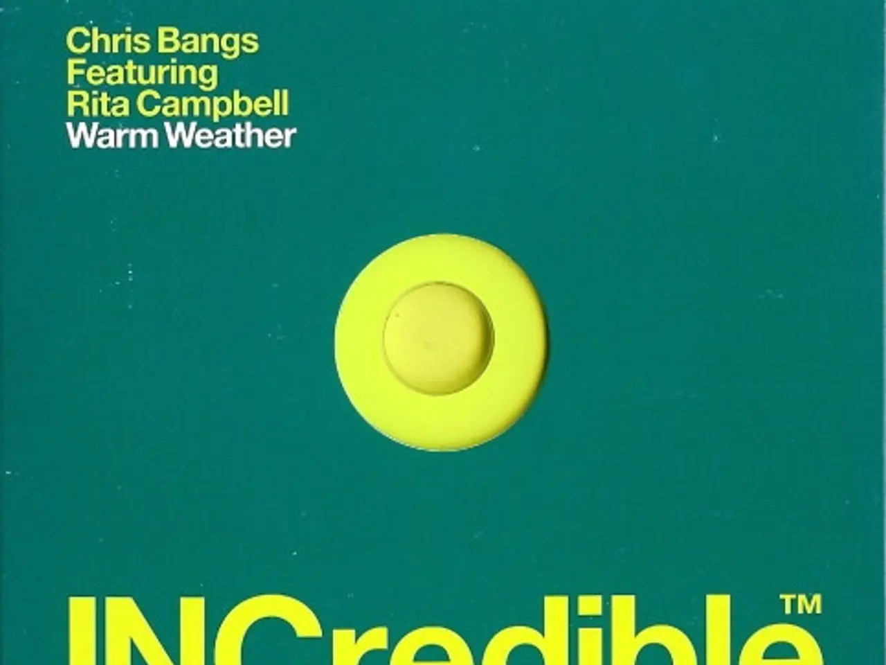Billede 1 - Chris Bangs Featuring… – Warm Weather – CD