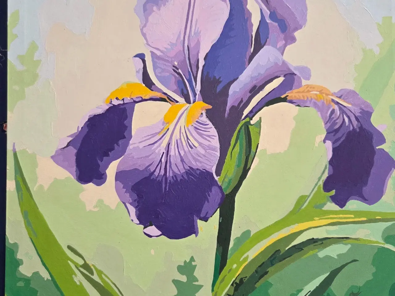 Billede 1 - Maleri af Iris