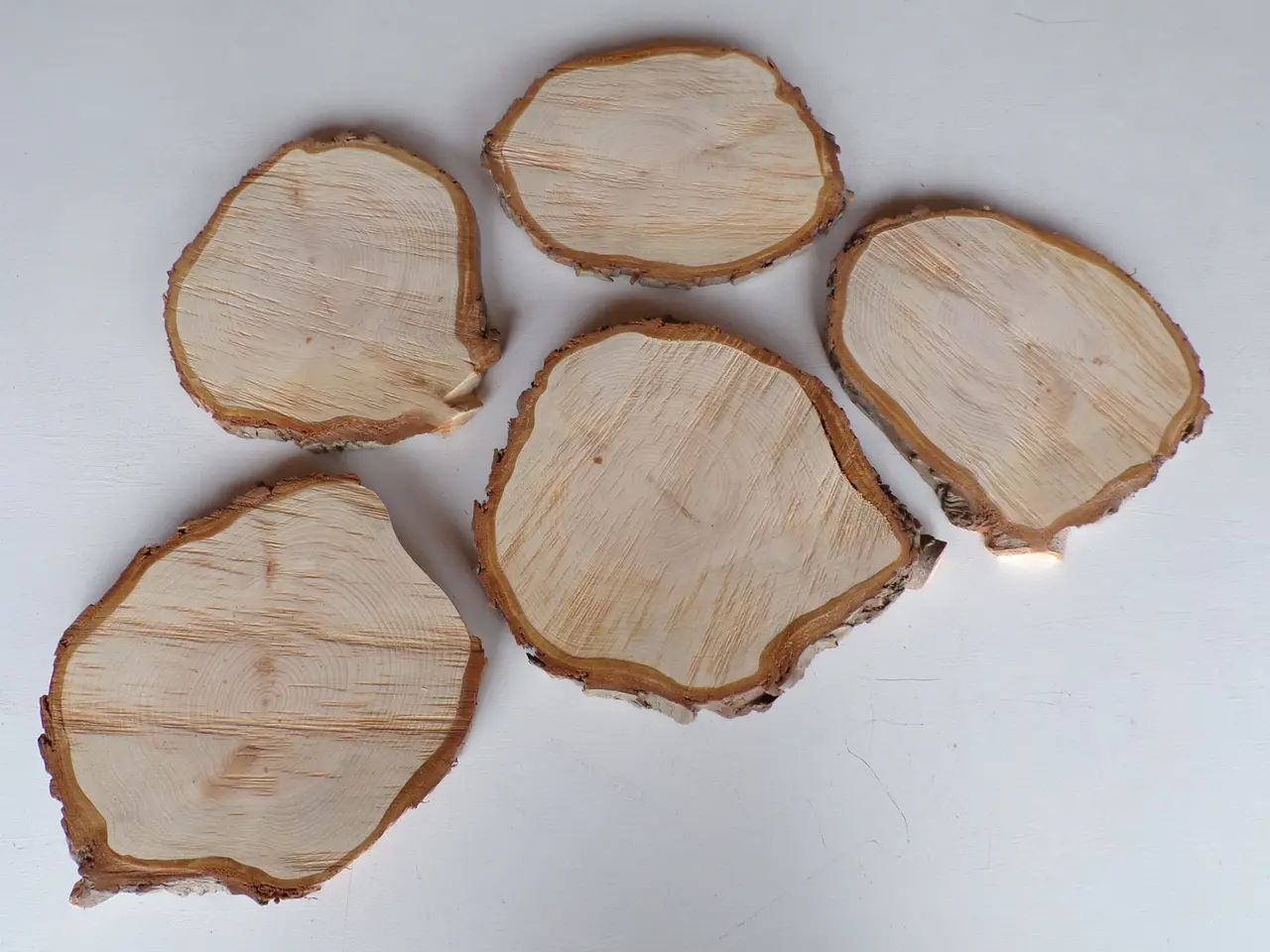 Billede 1 - 5 Thuja Træskiver med bark - 23 - 26,5 cm