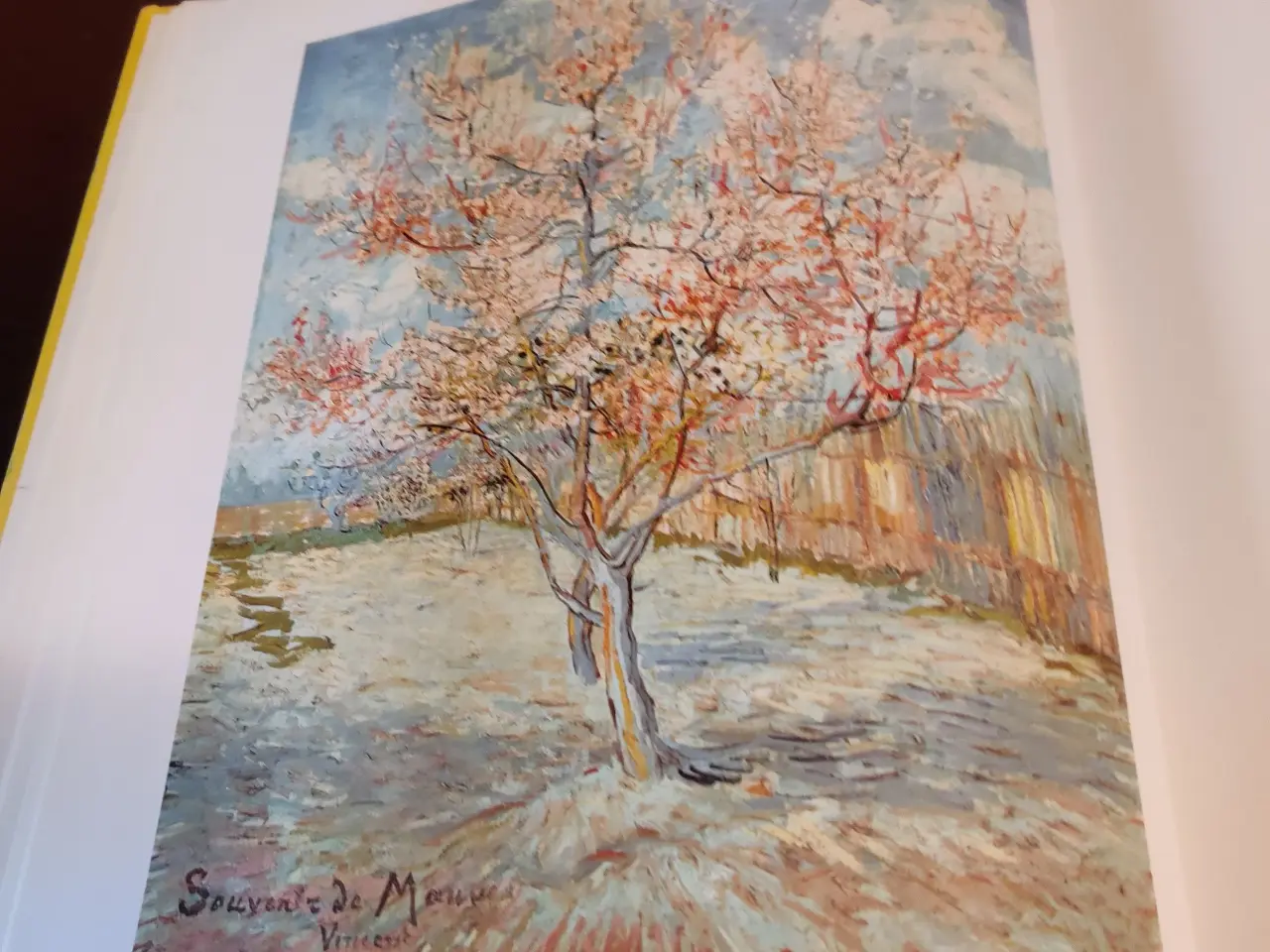 Billede 6 - Bog Van Gogh 