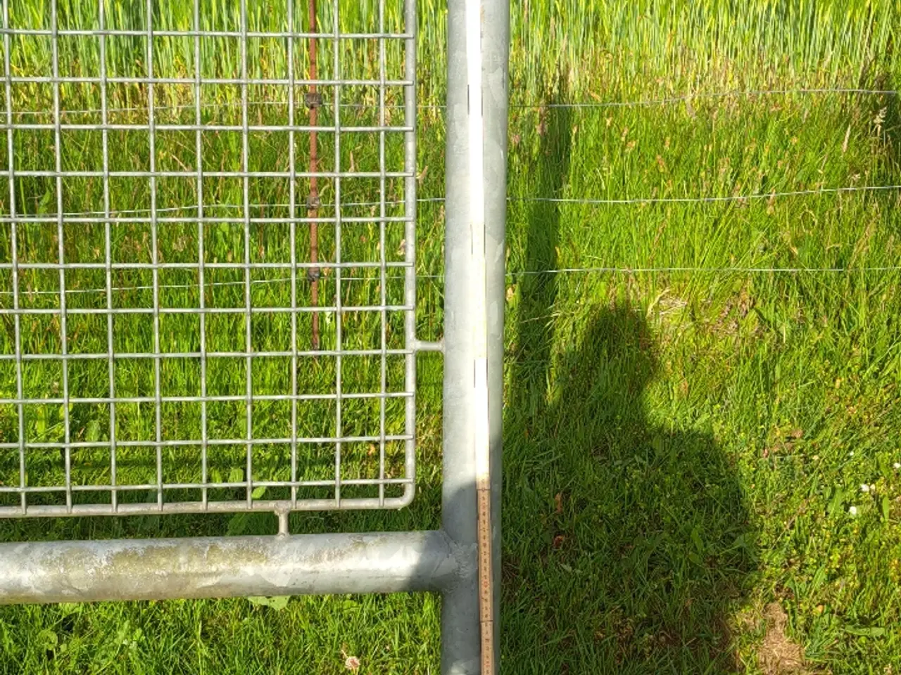 Billede 3 - Kraftige hegn