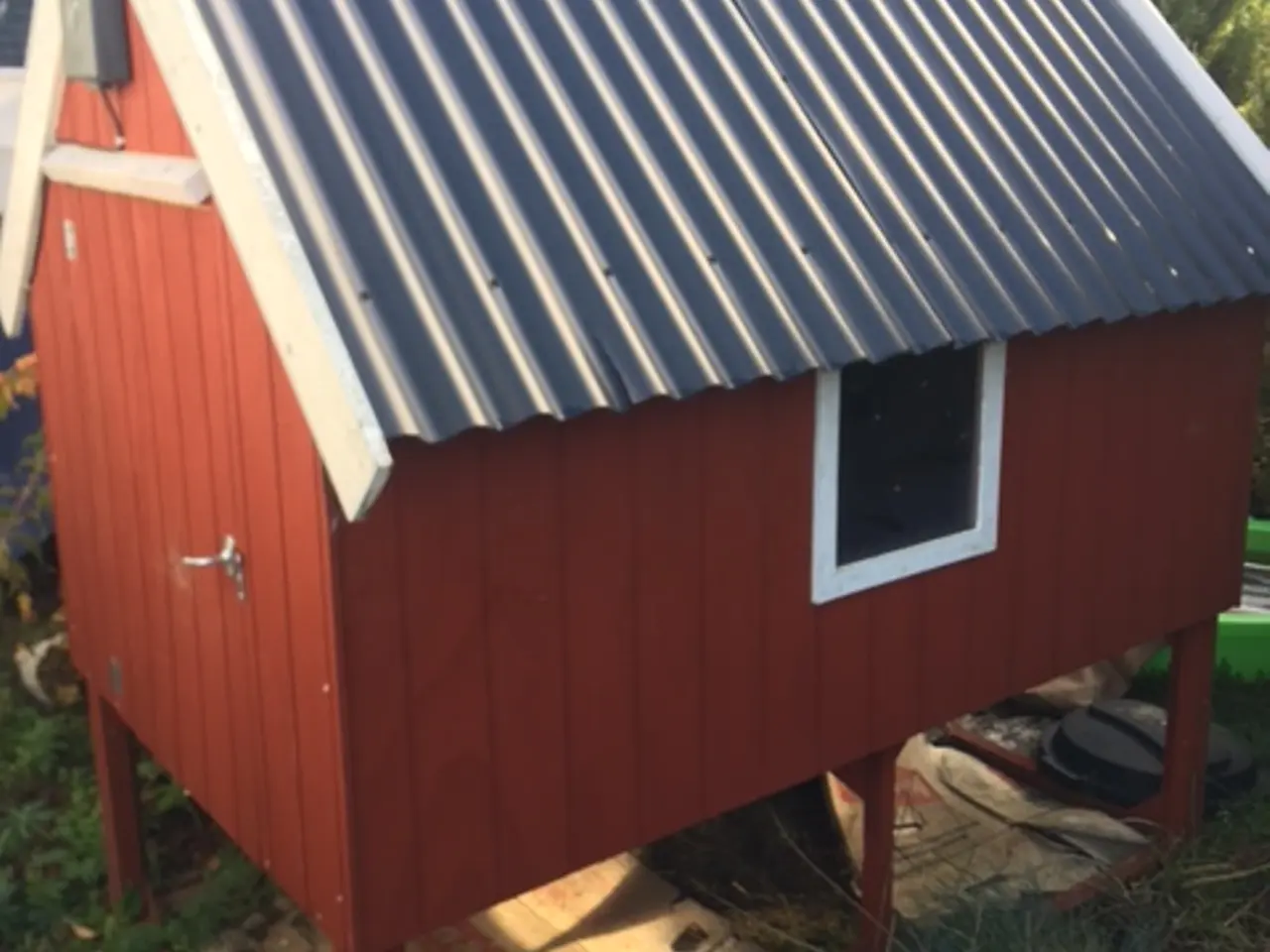Billede 1 - HØNSEHUS - aldrig taget i brug