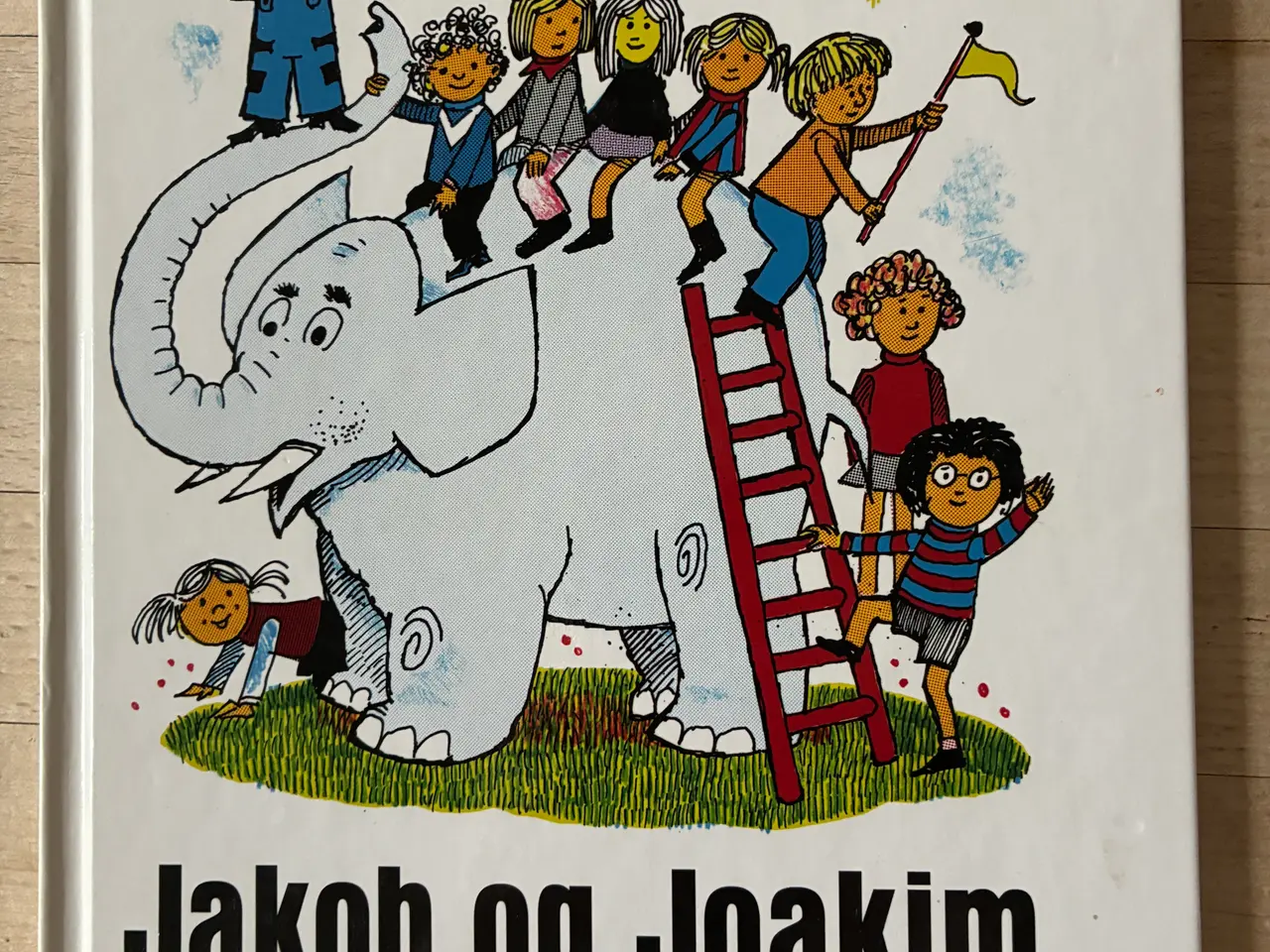 Billede 1 - Jakob og Joakim holder fødselsdag, Jørgen Clevin