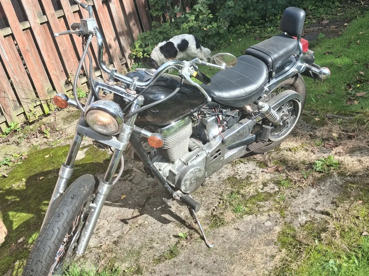 Billede 3 - Suzuki savage 650 P