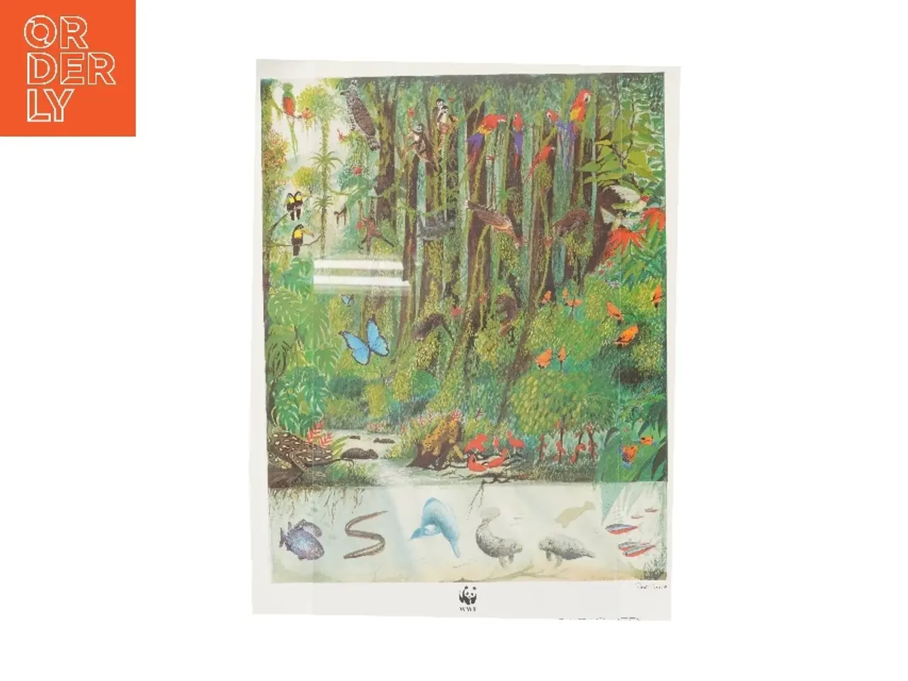 Billede 1 - WWF plakat med regnskovsmotiv fra WWF (str. 50x70 cm)