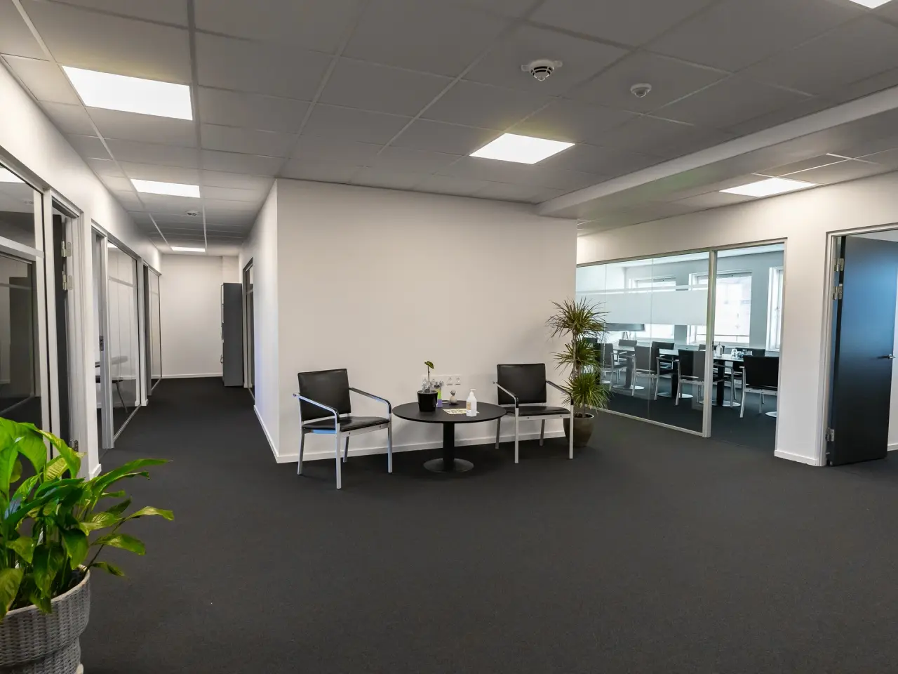 Billede 1 - Charmerende lejemål lige ved Høje Taastrup station