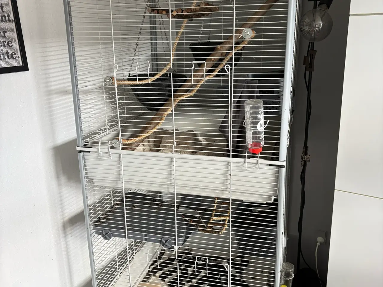 Billede 1 - Rotte - og chinchilla bur