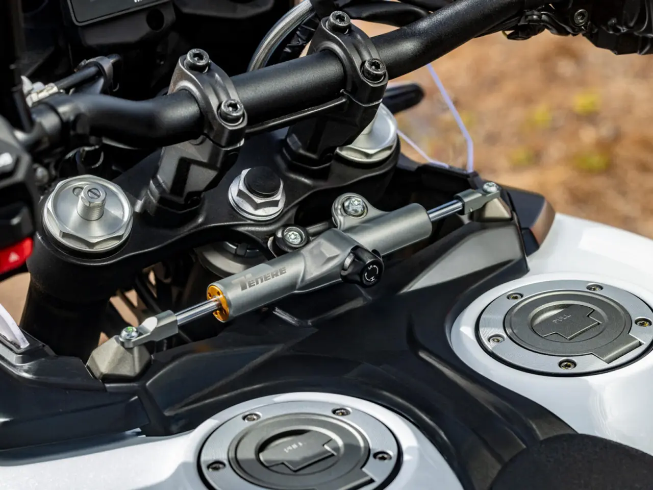 Billede 21 - Yamaha Ténéré 700 World Raid