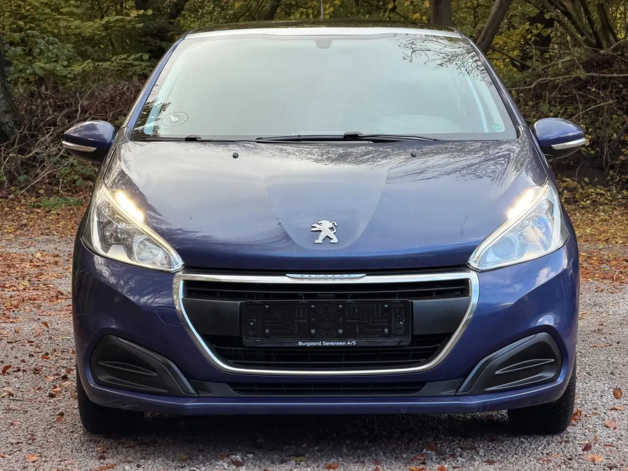 Billede 3 - Peugeot 208 1,6 BlueHDi 100 Desire Sky