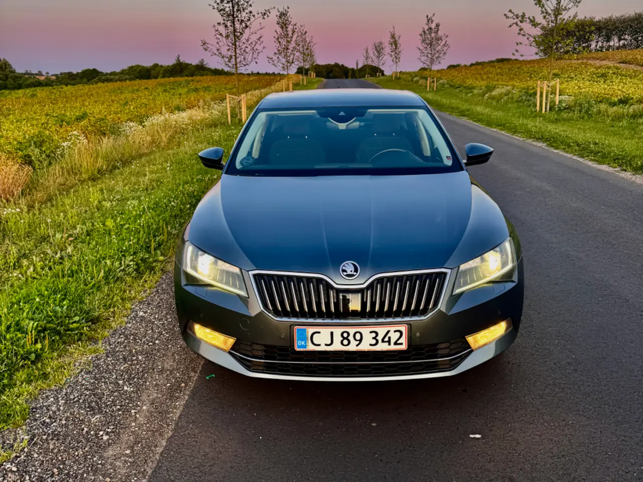 Billede 2 - Skoda Superb 1,6 TDi 120 Style DSG