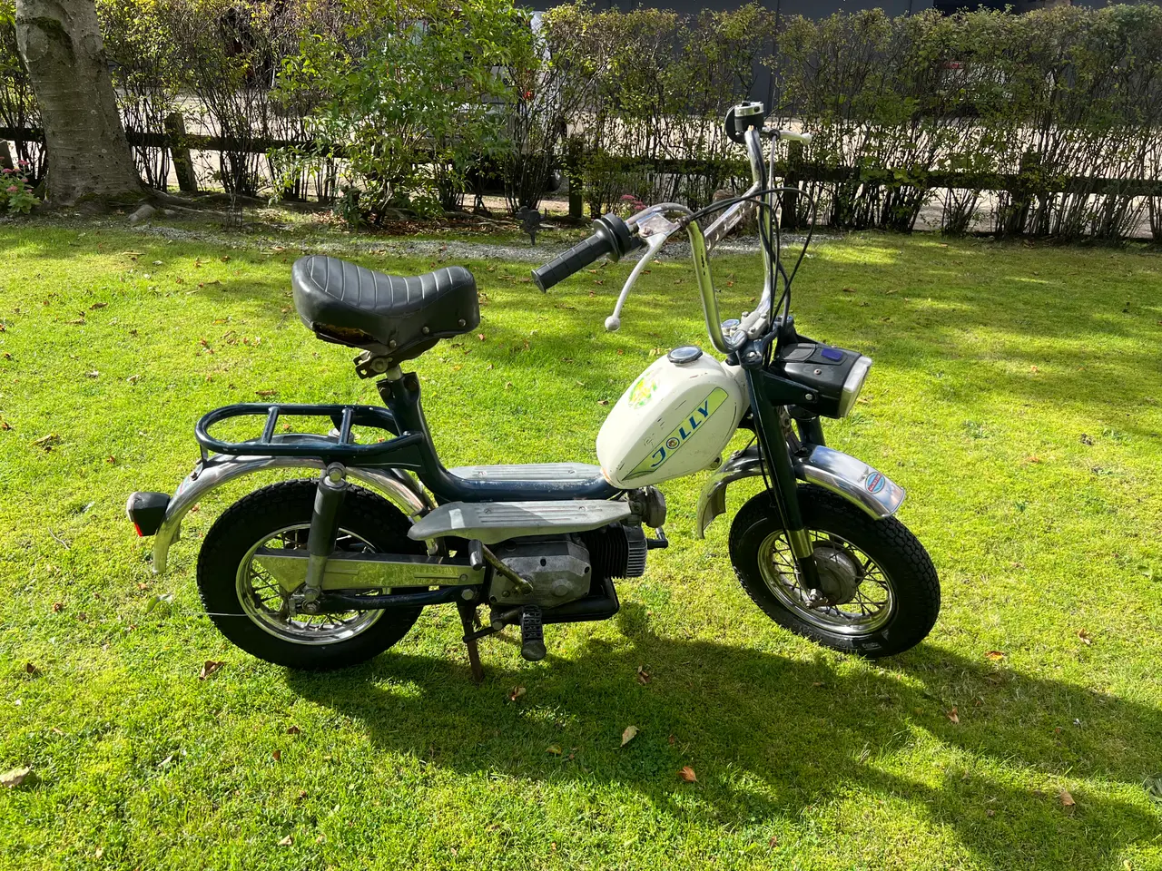 Billede 2 - Jolly knalleret veteran.