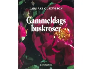 Gammeldags Buskroser