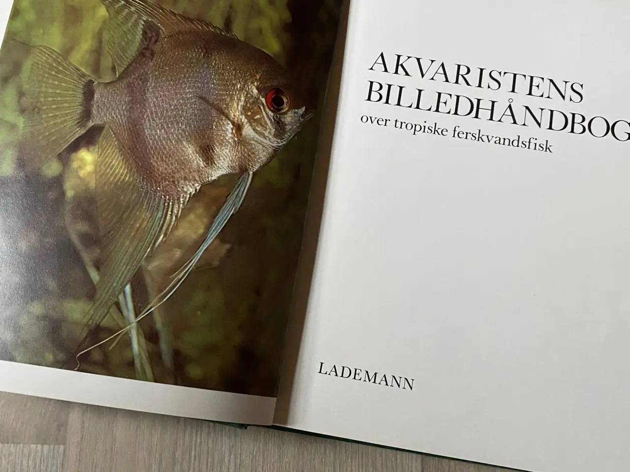 Billede 2 - Akvaristens Billedhåndbog
