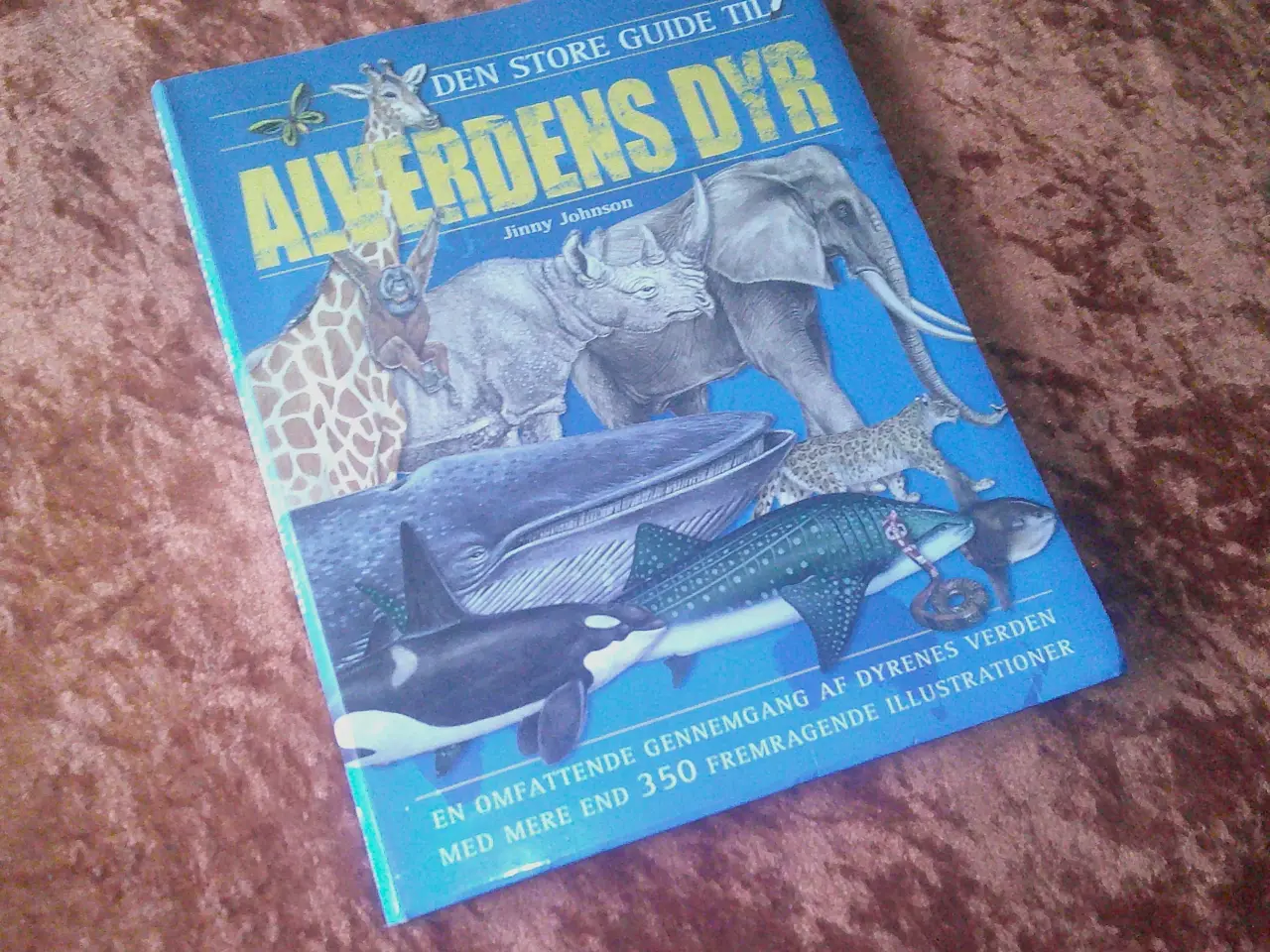 Billede 1 - Den store guide til alverdens dyr, Jinny Johnson,