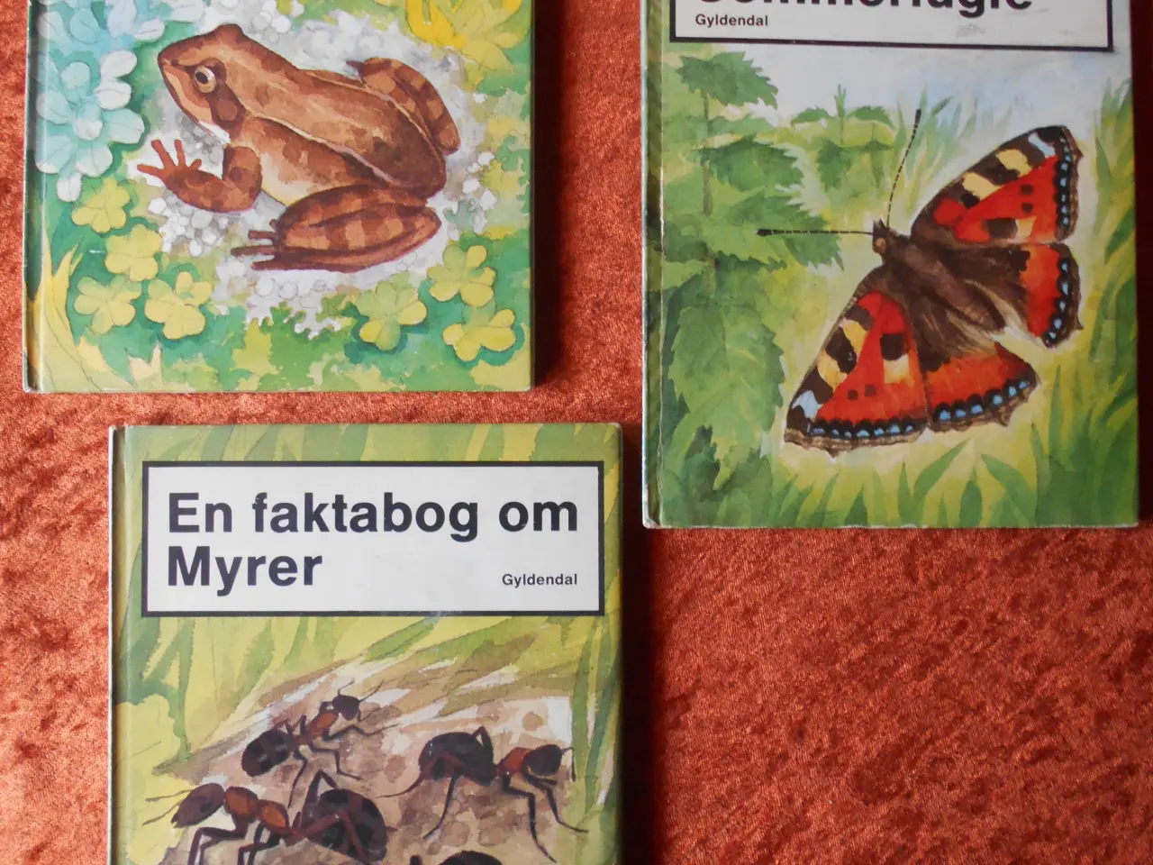 Billede 1 - En faktabog om sommerfugle m.fl, Gun Björk
