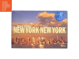 Fotobog - New York New York af Richard Berenholtz