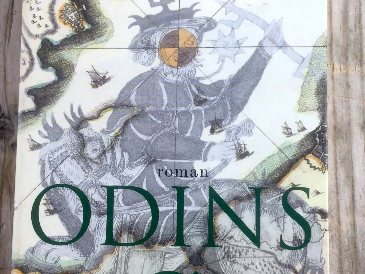 Billede 1 - Odins ø, Janne Teller, genre: drama