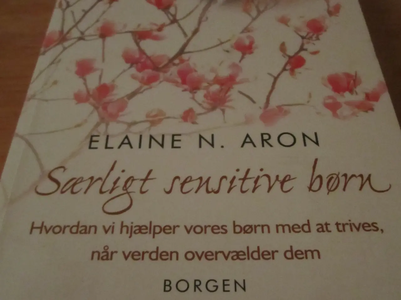 Billede 1 - SÆRLIGT SENSITIVE BØRN.