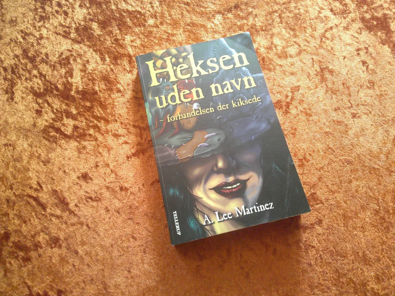Billede 1 - Heksen uden navn, A. Lee Martinez