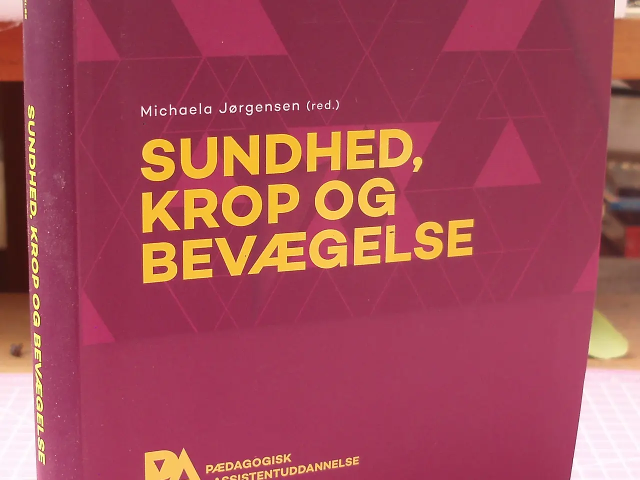Billede 4 - Pædagogisk Assistentuddannelse 2016/2017