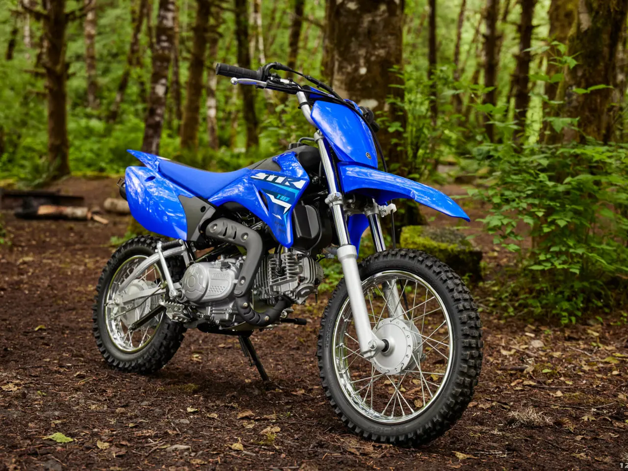 Billede 1 - Yamaha TT 110 R