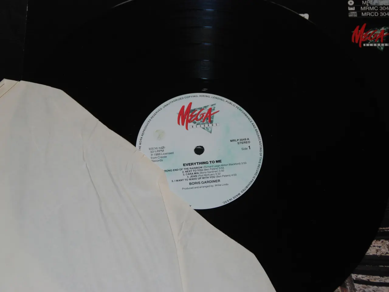 Billede 7 - 3 stk. lp - Boris Gardiner