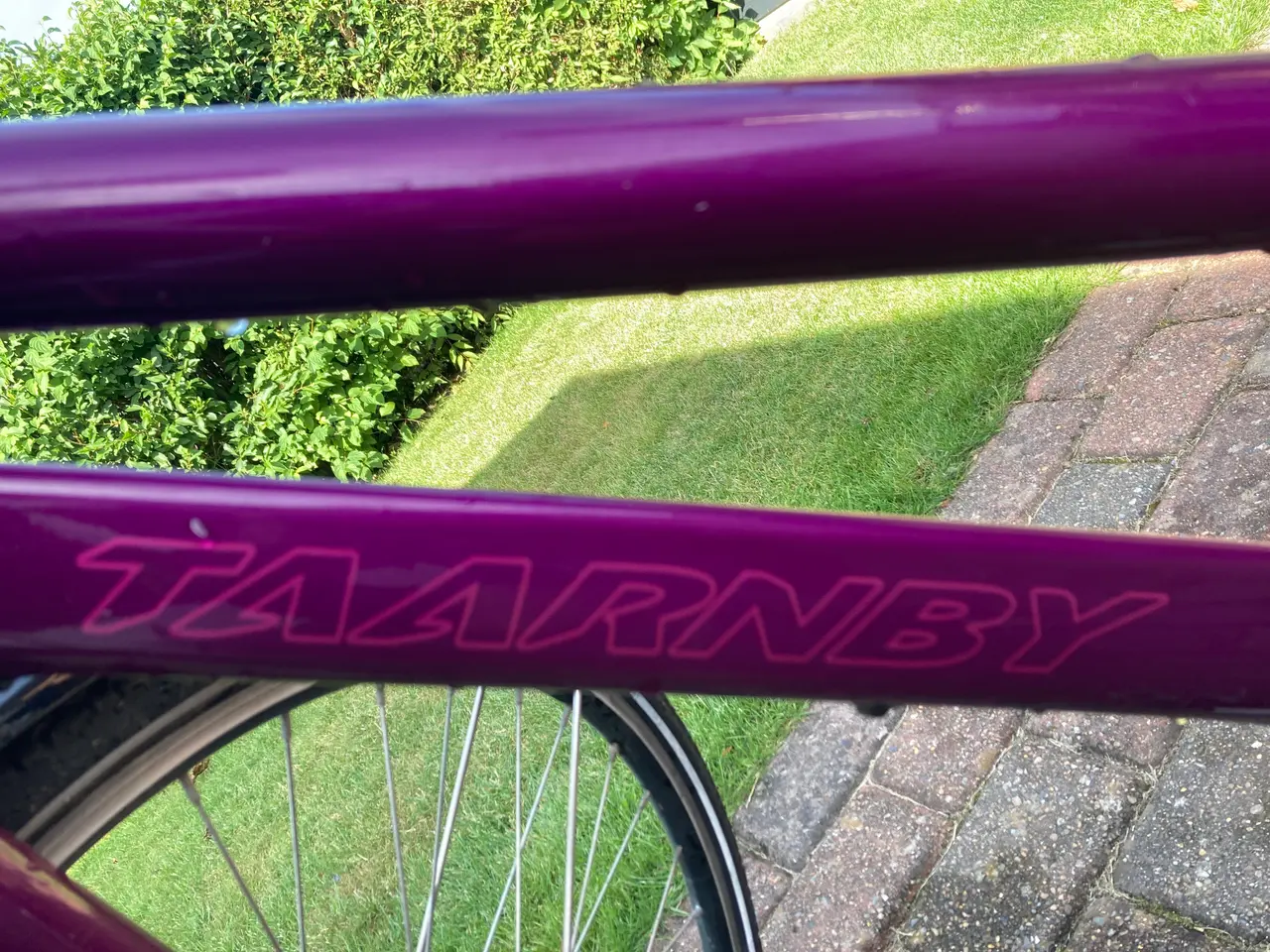 Billede 3 - Taarnby Eagle damecykel