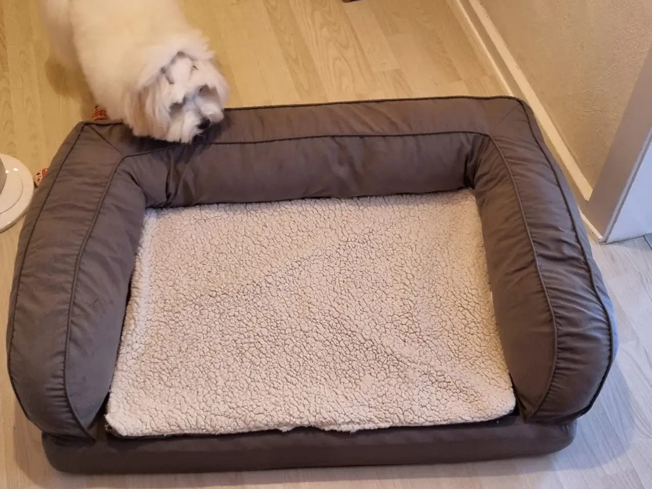 Billede 1 - Hunde senge og putte Elefant