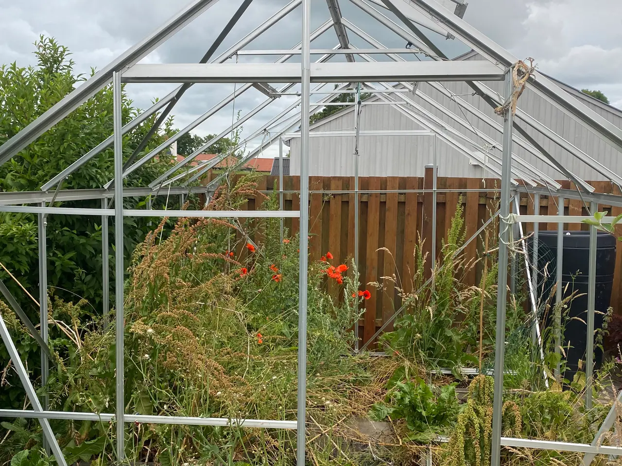Billede 4 - Drivhus uden glas