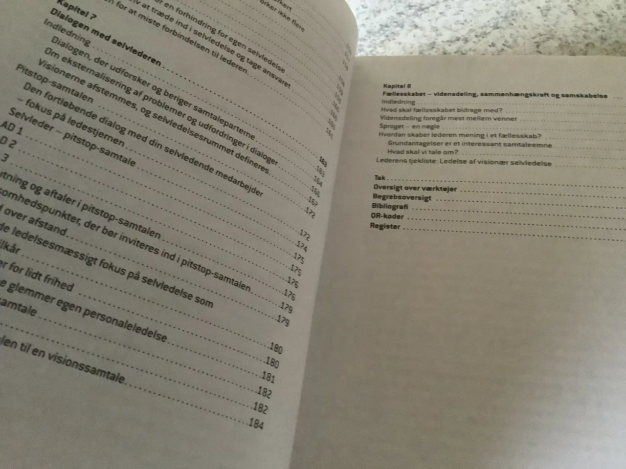 Billede 4 - Helt ny “Ledelse af selvledelse” Sanina Kurstein