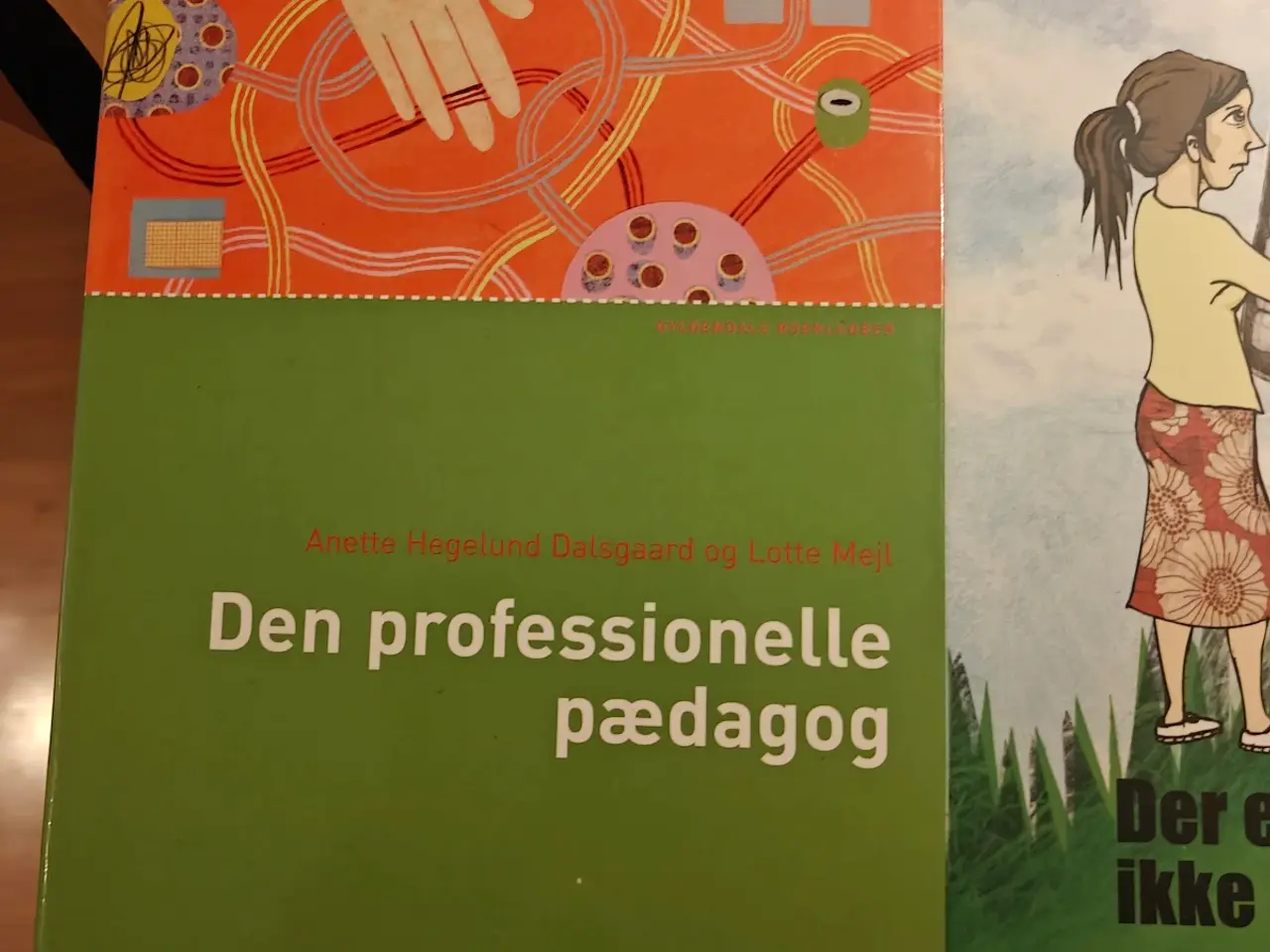 Billede 2 - Studiebøger fra pædagoguddannelsen 